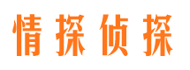 洛龙侦探公司